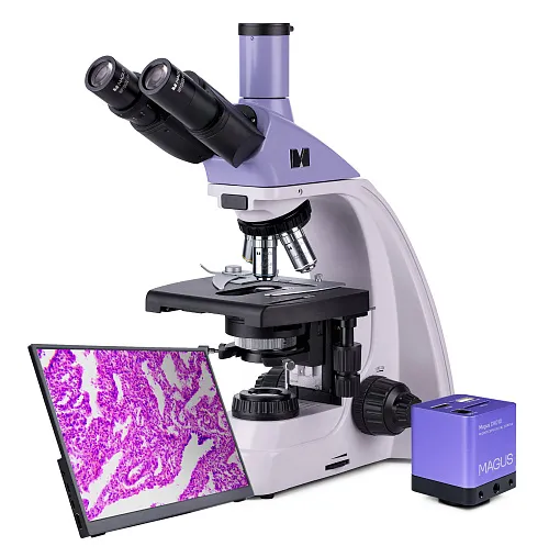 gráfico Microscopio biológico digital MAGUS Bio D250T LCD