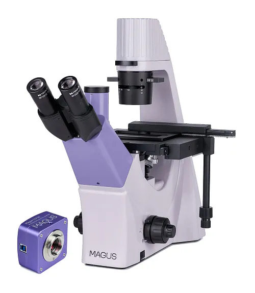 gráfico Microscopio biológico invertido digital MAGUS Bio VD300