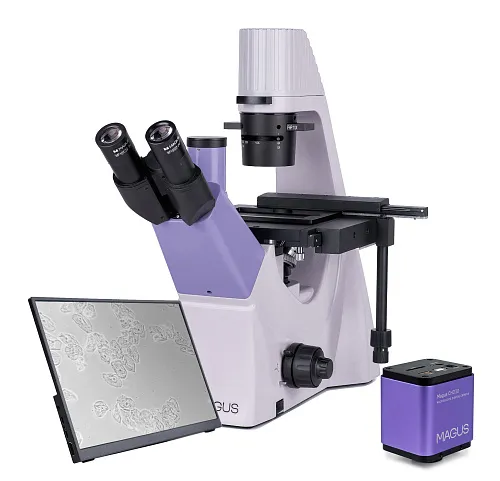 gráfico Microscopio biológico invertido digital MAGUS Bio VD300 LCD
