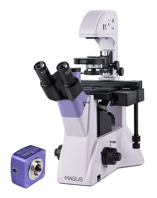 gráfico Microscopio biológico invertido digital MAGUS Bio VD350