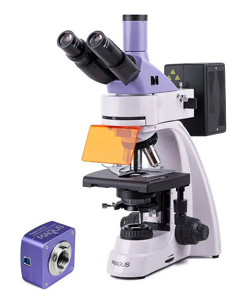 gráfico Microscopio digital de fluorescencia MAGUS Lum D400