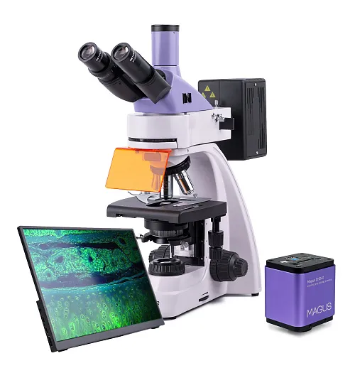 foto Microscopio de fluorescencia digital MAGUS Lum D400 LCD
