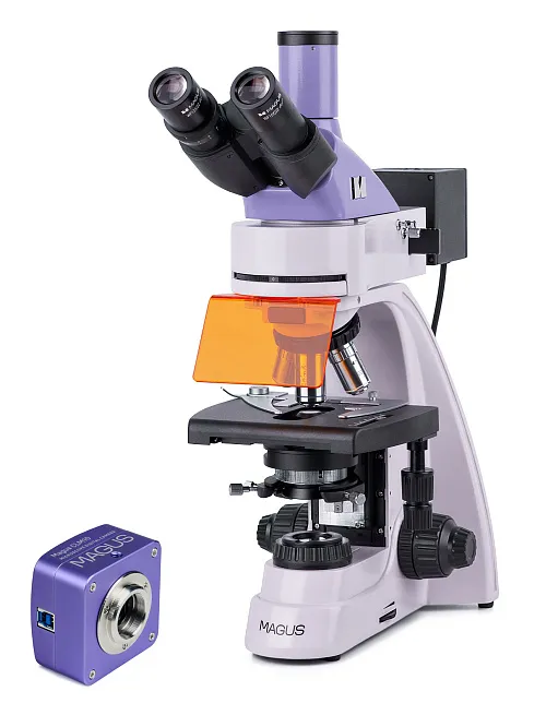 gráfico Microscopio digital de fluorescencia MAGUS Lum D400L