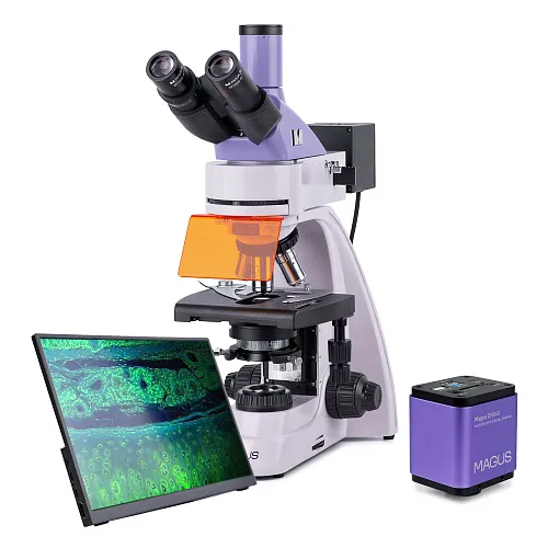gráfico Microscopio de fluorescencia digital MAGUS Lum D400L LCD