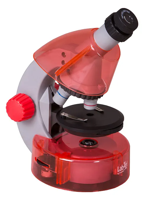 gráfico Microscopio Levenhuk LabZZ M101