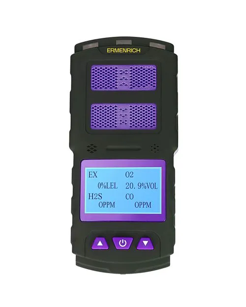 imagen Detector de gas Ermenrich NG60