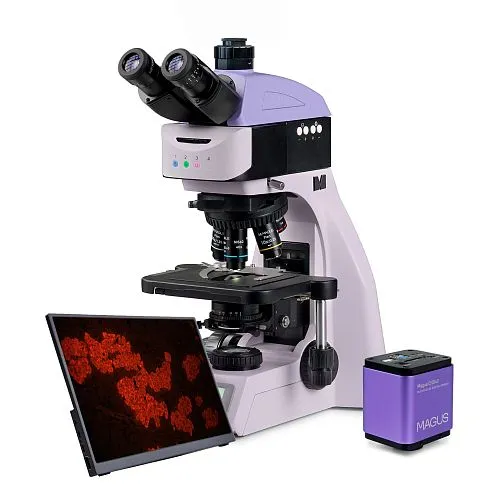imagen Microscopio digital de fluorescencia MAGUS Lum D460L LCD,  1