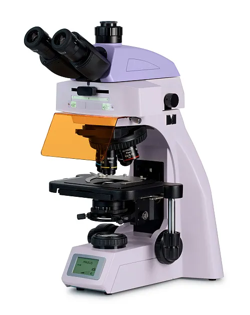 gráfico Microscopio de fluorescencia MAGUS Lum 450L