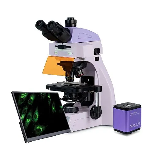gráfico Microscopio digital de fluorescencia MAGUS Lum D450L LCD,  1