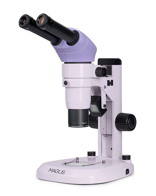 gráfico Estereomicroscopio MAGUS Stereo A8