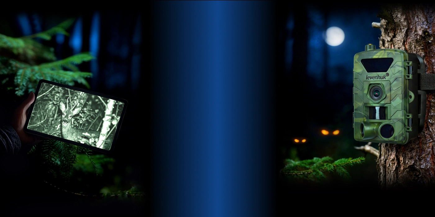 Tu guía de monitoreo remoto