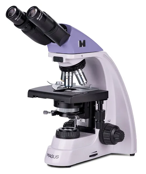 gráfico Microscopio biológico MAGUS Bio 250B