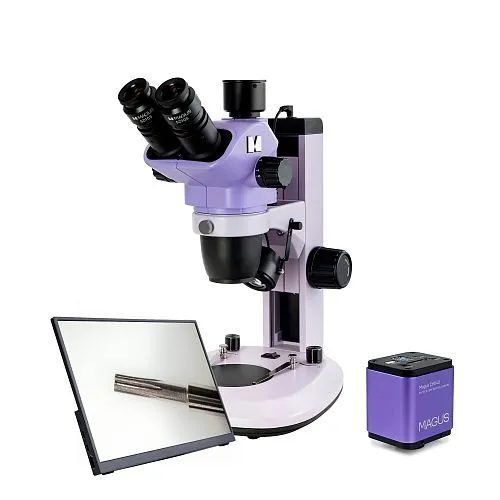 gráfico Estereomicroscopio digital MAGUS Stereo D7T LCD PLUS