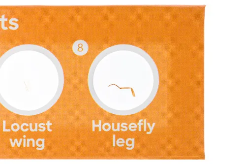 imagen Set de 12 preparaciones Levenhuk Discovery Fauna,  5