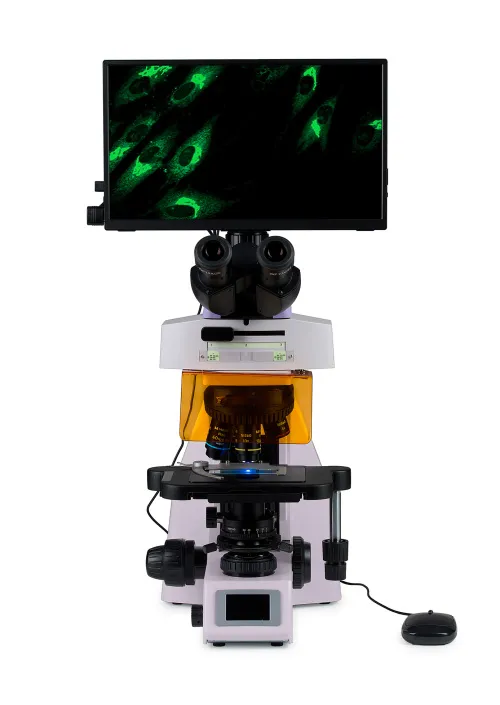 gráfico Microscopio digital de fluorescencia MAGUS Lum D450L LCD,  8