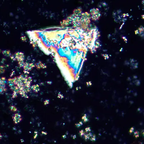 imagen Microscopio polarizador digital MAGUS Pol D850,  25