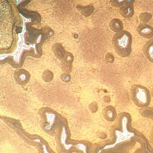 gráfico Microscopio metalúrgico invertido MAGUS Metal V790 DIC,  18