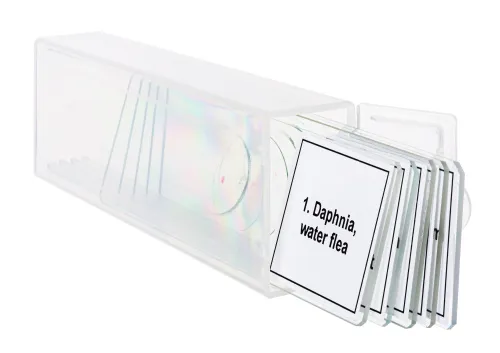 fotografía Set de preparaciones para microscopio Levenhuk Discovery Prof DPS 5. «Vida en una gota de agua»,  5