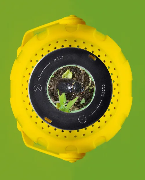 gráfico Set de exploración tierra y agua National Geographic,  3