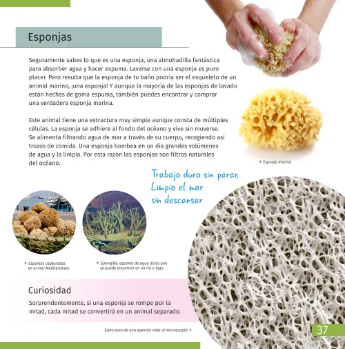 gráfico El mundo invisible. Libro educativo,  7