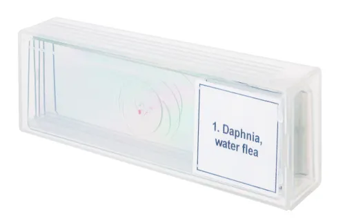 fotografía Set de preparaciones para microscopio Levenhuk Discovery Prof DPS 5. «Vida en una gota de agua»,  4