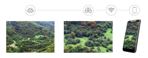 imagen Fotoprismáticos digitales Levenhuk Kelvin Snap ED 8x42,  7