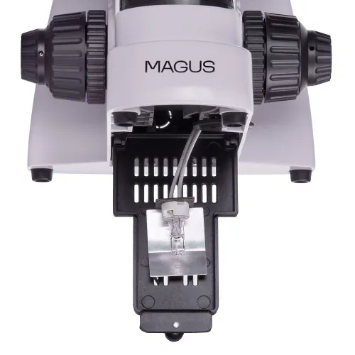 fotografía Microscopio de fluorescencia MAGUS Lum 400,  5
