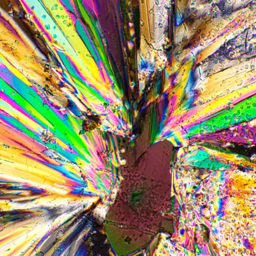 gráfico Kit de polarizador/analizador MAGUS SPD2,  2