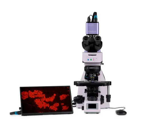 imagen Microscopio digital de fluorescencia MAGUS Lum D460L LCD,  10