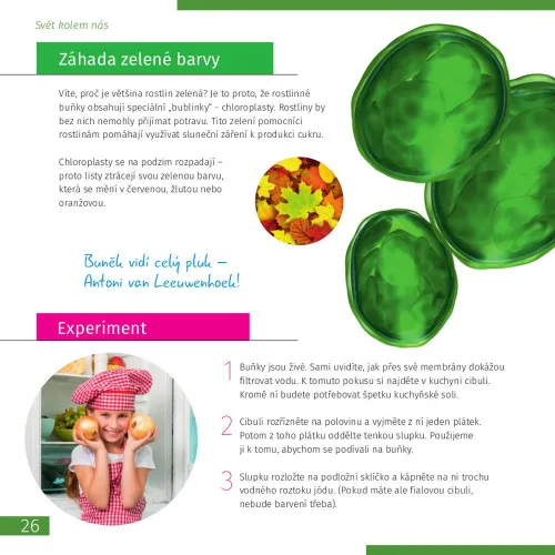 gráfico Microscopio Levenhuk Discovery Centi 02 con libro,  5