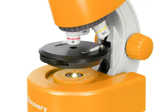 fotografía Microscopio Levenhuk Discovery Micro con libro,  13