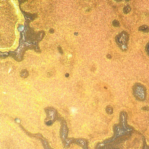 gráfico Microscopio metalúrgico invertido MAGUS Metal V790 DIC,  21