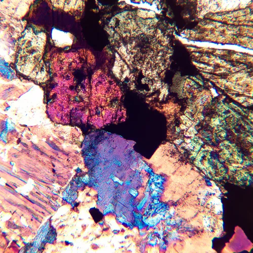 imagen Microscopio polarizador digital MAGUS Pol D850,  24