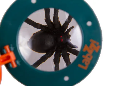 imagen Frasco para observar insectos Levenhuk LabZZ C1,  7