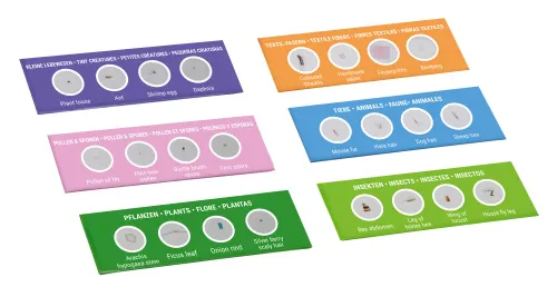 imagen Kit de Experimentación Bresser Junior con 24 Preparaciones permanentes,  3