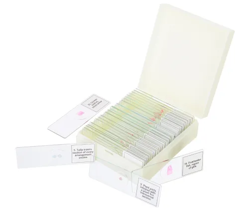 gráfico Set de preparaciones para microscopio Levenhuk Discovery Prof DPS 25. «Biología, Aves, etc.»,  5