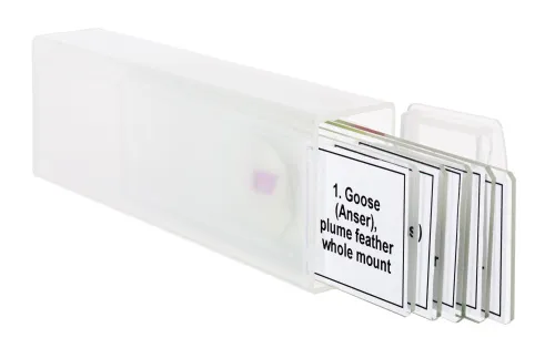 foto Set de preparaciones para microscopio Levenhuk Discovery Prof DPS 5. «Aves»,  5