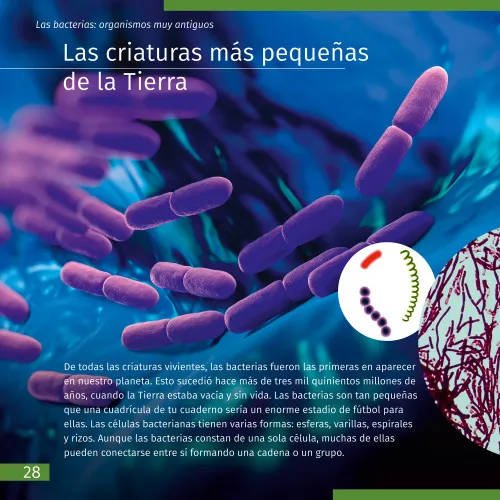 gráfico El mundo invisible. Libro educativo,  4
