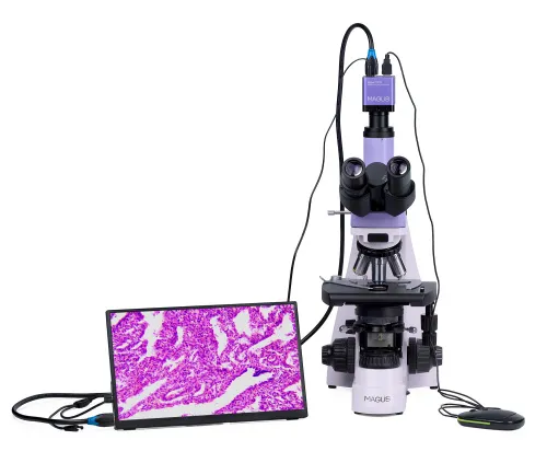imagen Microscopio biológico digital MAGUS Bio D250TL LCD,  7