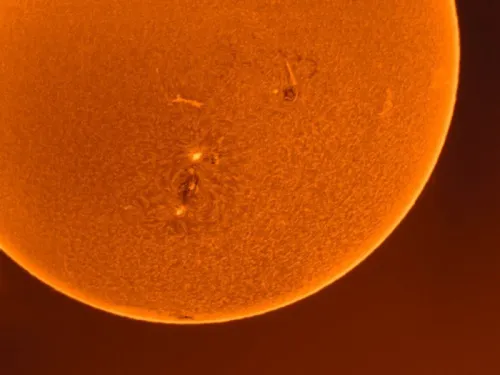 fotografía Coronado SolarMax III 70mm Solar Telescope with RichView System and BF10,  6