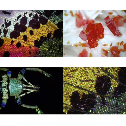 foto Microscopio USB digital Bresser DST1028,  4