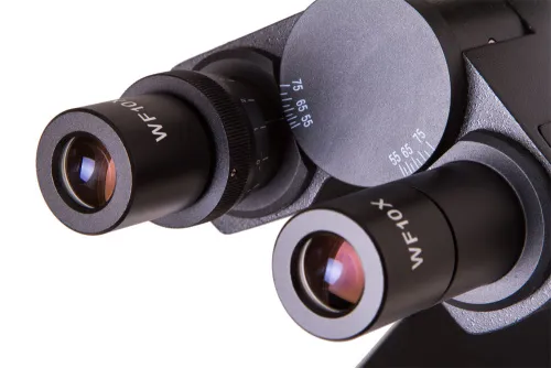 gráfico Microscopio Bresser BioScience Trino,  6