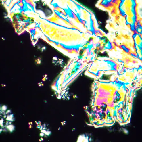 gráfico Microscopio polarizador MAGUS Pol 890,  25