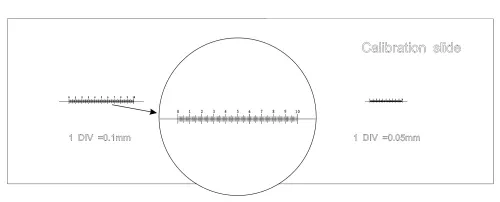 gráfico Portaobjetos de calibración MAGUS CS3 (0,01/0,05/0,1),  4
