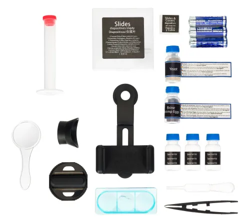 gráfico Microscopio Bresser Junior 40–640x,  17