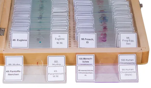 imagen Set de preparaciones Bresser, 100 unidades, con estuche,  4