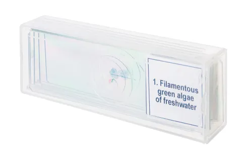 imagen Set de preparaciones para microscopio Levenhuk Discovery Prof DPS 5. «Biología»,  4