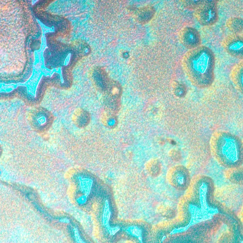 gráfico Microscopio metalúrgico invertido MAGUS Metal V790 DIC,  20