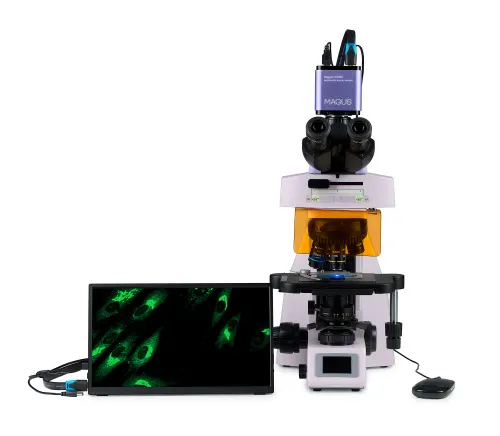gráfico Microscopio digital de fluorescencia MAGUS Lum D450L LCD,  9