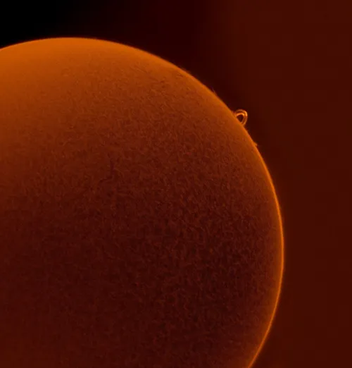 fotografía Coronado SolarMax III 70mm Solar Telescope with RichView System and BF10,  7